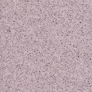 The name of this aquaBRIGHT color swatch is "Barbuda". It's a sample of a light-colored pool finish. The surface is composed of a dense mix of tiny, irregularly shaped black, gray, and pink specks, giving it a speckled, granite-like appearance.